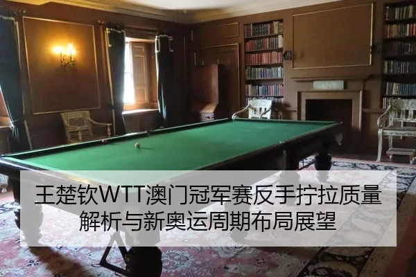 王楚钦WTT澳门冠军赛反手拧拉质量解析与新奥运周期布局展望