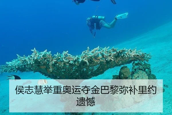 侯志慧举重奥运夺金巴黎弥补里约遗憾