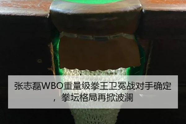 张志磊WBO重量级拳王卫冕战对手确定，拳坛格局再掀波澜