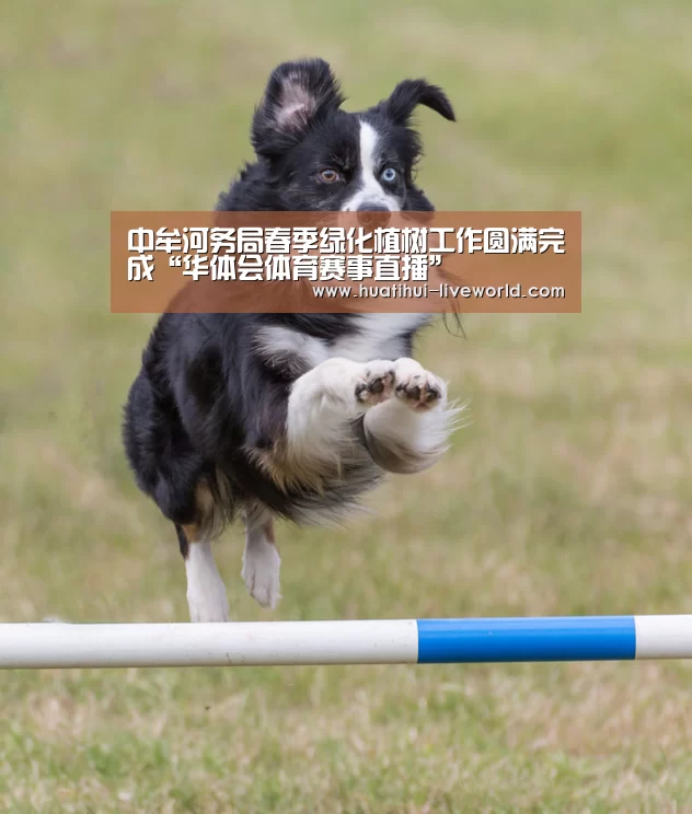 华体会体育娱乐平台