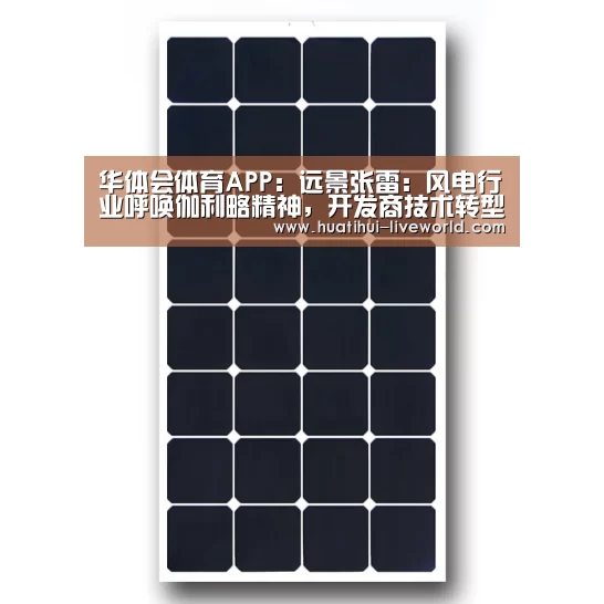 华体会体育APP:远景张雷:风电行业呼唤伽利略精神,开发商技术转型带动产业发展(图2) 华体会体育赛事直播