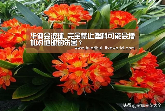 华体会滚球_完全禁止塑料可能会增加对地球的伤害?(图1) 华体会体育赛事直播