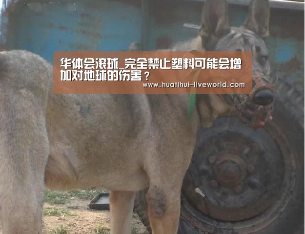 华体会滚球_完全禁止塑料可能会增加对地球的伤害?(图2) 华体会体育娱乐平台