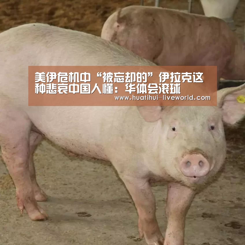 华体会体育娱乐平台