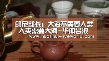 华体会滚球