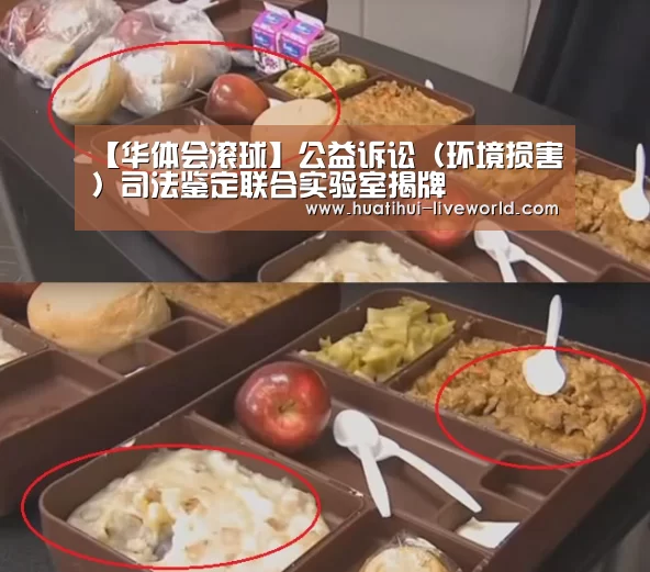 华体会体育APP